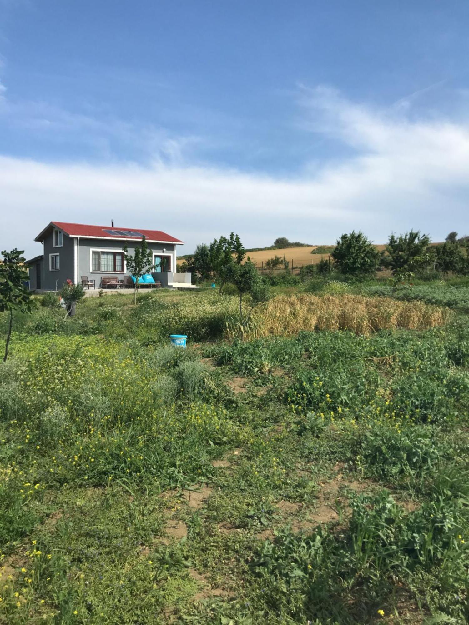 Villa Kublay'S Gelibolu Esterno foto